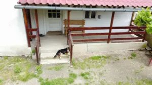 Casă în Coșteiu, teren de 1500 mp, la pret de apartament in Lugoj - imagine 6