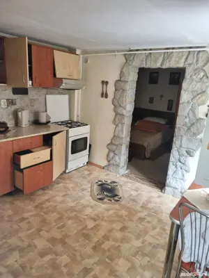 casa de vanzare Busteni - imagine 7 casa de vanzare Busteni - imagine 7