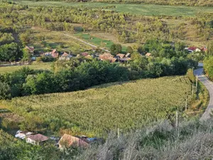 Teren intravilan de vanzare, 5000mp, com.Dabaca - imagine 2