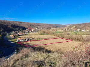 Teren intravilan de vanzare, 5000mp, com.Dabaca