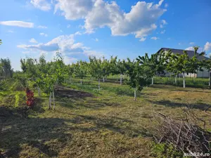 Casa cu teren 1405 mp la Sambateni - imagine 3