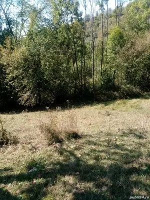 Teren extravilan de vanzare - imagine 5