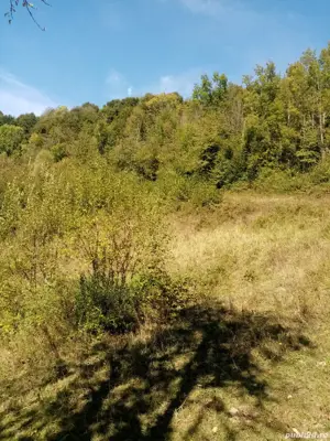 Teren extravilan de vanzare - imagine 4