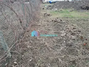 Teren intravilan 700 mp Sf. Ilie - imagine 7