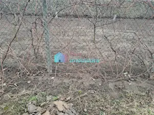 Teren intravilan 700 mp Sf. Ilie - imagine 5