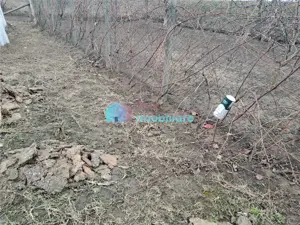 Teren intravilan 700 mp Sf. Ilie - imagine 4