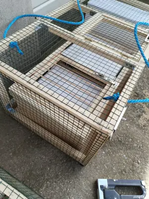 Cuști transport porumbei pliabile  - imagine 2