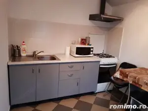 Inchiriez apartament cu 1 camera in zona Badea Cartan  - imagine 2