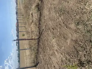 Vând teren în Braniștea sat Vasile Alecxandri Galati - imagine 7