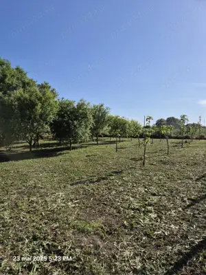 Teren intravilan de vânzare! - imagine 2 Teren intravilan de vânzare! - imagine 2