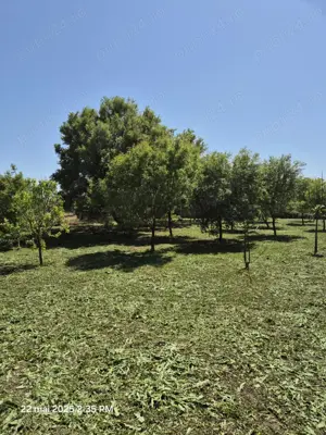 Teren intravilan de vânzare! - imagine 6 Teren intravilan de vânzare! - imagine 6