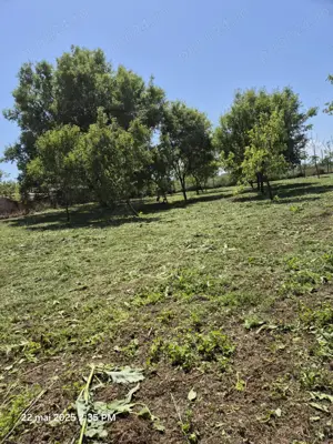 Teren intravilan de vânzare! - imagine 7 Teren intravilan de vânzare! - imagine 7