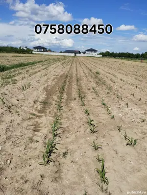 teren intravilan 1990mp