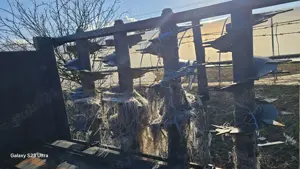 Remorca de imprastiat gunoi Belluci&Rossini - imagine 6 Remorca de imprastiat gunoi Belluci&Rossini - imagine 6