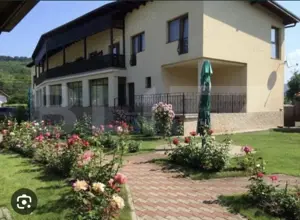 Pensiune 10 Camere pretabil si pentru Casa e Varstnici - imagine 4