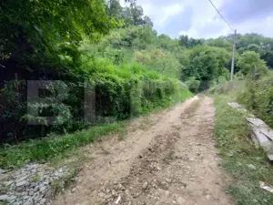 Cabana 3 cam,2 nivele 100 mp+teren extravilan 2,5 ha+1 ha padure, langa Nasaud - imagine 12