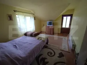 Cabana 3 cam,2 nivele 100 mp+teren extravilan 2,5 ha+1 ha padure, langa Nasaud - imagine 8