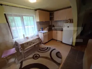 Cabana 3 cam,2 nivele 100 mp+teren extravilan 2,5 ha+1 ha padure, langa Nasaud - imagine 9