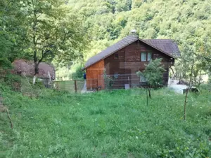 Cabana 3 cam,2 nivele 100 mp+teren extravilan 2,5 ha+1 ha padure, langa Nasaud - imagine 2