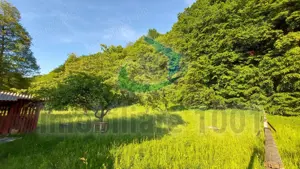 Casuta din Povesti, Baita, 1332 mp teren intravilan, la liziera padurii - imagine 14