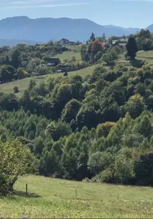 Teren intravilan construibil Poiana Marului, Brasov - imagine 4