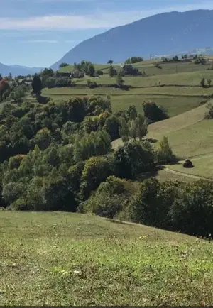 Teren intravilan construibil Poiana Marului, Brasov - imagine 5