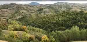Teren intravilan construibil Poiana Marului, Brasov - imagine 6