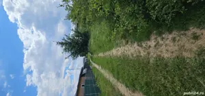 Vand teren 700MP in Domnesti Ciutaci Ilfov