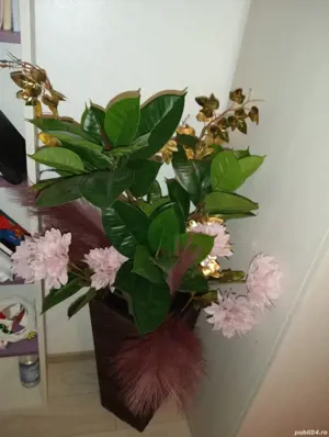 Transport dela domiciliu pînă unde aveti nevoie