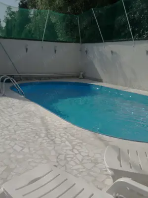 casă P+M,zona A.Vlaicu - imagine 6