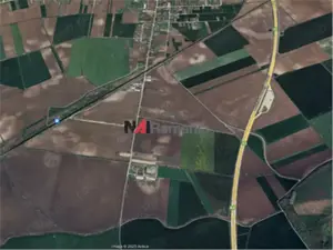 Vanzare Teren Linia Teiului, Moara Vlasiei - imagine 2