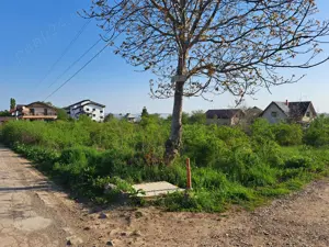 Teren de vânzare 2607 mp   Vișan, com. Bârnova, lângă Ville Toscana - imagine 9