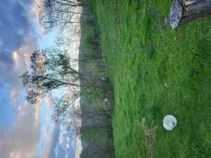 Vand teren intravilan Provita de sus, Prahova, direct proprietar. - imagine 2