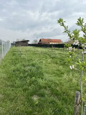 TEREN  casa 13 km de Gaesti - imagine 5