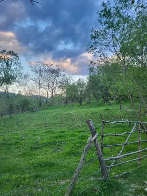 Vand teren intravilan Provita de sus, Prahova, direct proprietar. - imagine 3