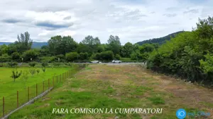 TEREN 2153 MP, BUJORENI - DESCHIDERE LA DN7
 - imagine 6