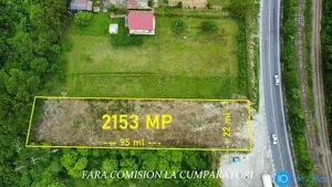 TEREN 2153 MP, BUJORENI - DESCHIDERE LA DN7
 - imagine 8