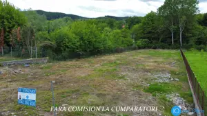TEREN 2153 MP, BUJORENI - DESCHIDERE LA DN7
 - imagine 4