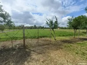 Vând grădină în localitatea Drăgoiești Timiș - imagine 3