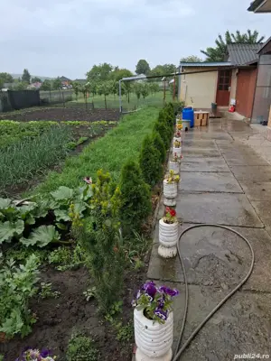 vind casă Serbanesti  - imagine 9 vind casă Serbanesti  - imagine 9