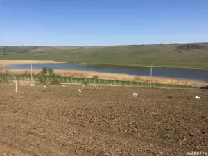 Teren intravilan    vedere superbă la lac   Valea Lungă, Iași - imagine 4