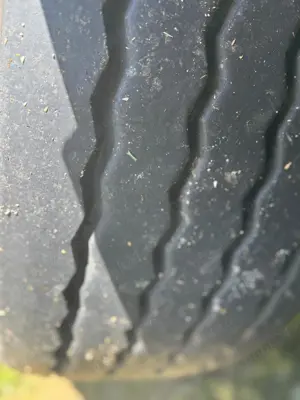 Schmitz Cargobull SKO Thermoking SLXi300 2021 - imagine 2