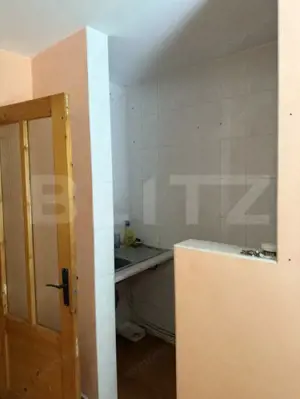 Apartament cu 3 camere, decomandat, zona George Enescu - imagine 7