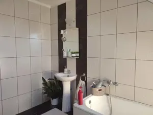 Vand vila cu 3 camere, comuna Biharia  - imagine 9