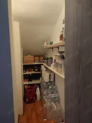 Vand vila cu 3 camere, comuna Biharia  - imagine 12