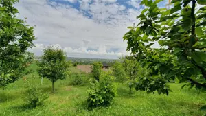 Teren intravilan - 2400 mp - 3 cabane din lemn - Lisaura