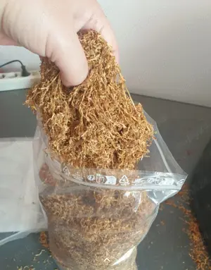 Firicel premium Olanda 