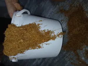 Firicel premium Olanda  - imagine 2