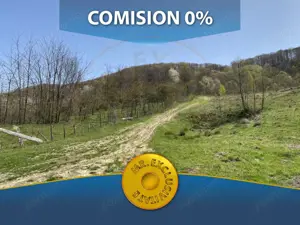 Teren 13.000 mp zona de deal - Aninoasa AG