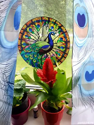 vand apartament RASNOV